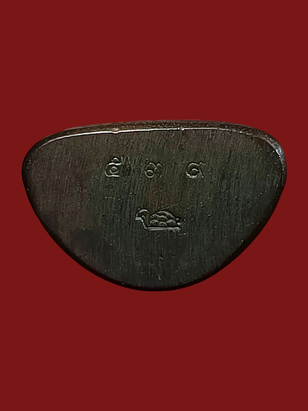 IMG_20260222_132858_672