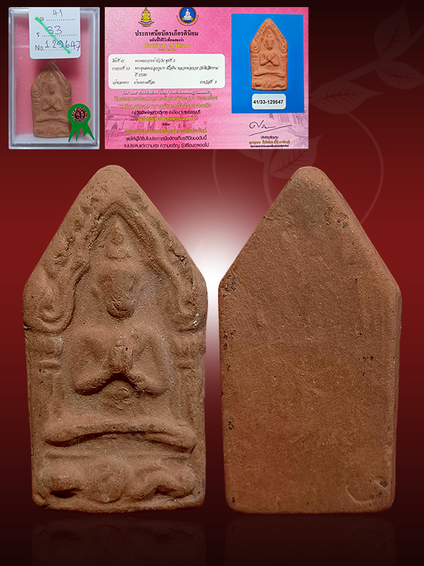 IMG_20260225_154215_365-2